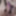 ディック写真