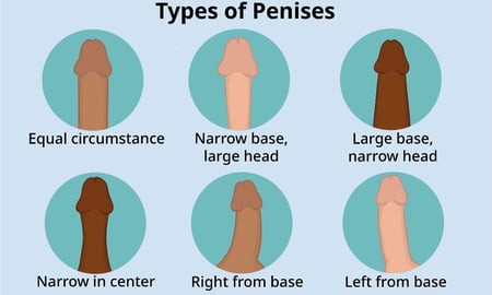 ONLY BEST PICTURE ARE HERE 