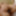 Ayase Tsuyuri :: Buon appettito young body - CARIBBEANCOM #20