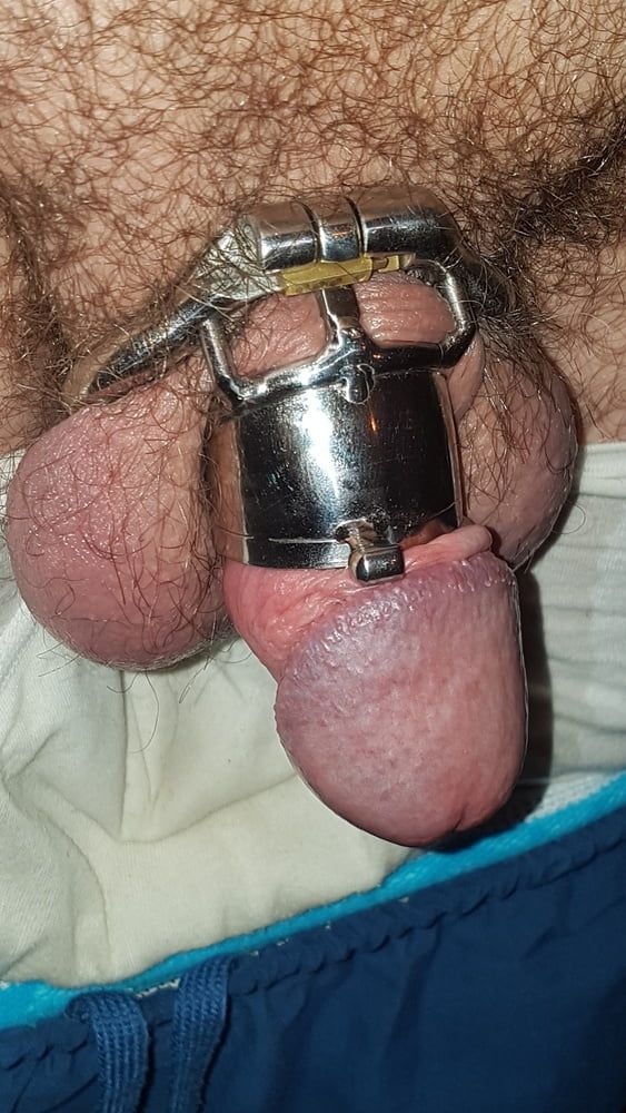 Chastity cage #47