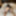 Sexy BBW Spank Me Hotel Pics #29