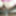 My old gifs
