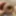 Foreskin hard stretching