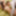 Akari Satsuki :: Train Me Like In The Past - CARIBBEANCOM #14