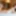 Rinka Mizuhara :: A Danfer Temptation From Wife - CARIBBEANC #6