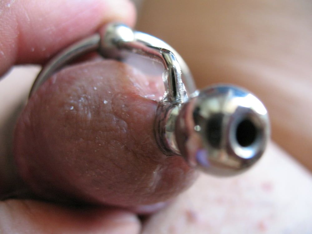 More steel in cock with glans rings #14