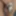 Daily duty of the naked slave March 17th, 2024 #3