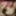 Generous Brother Gif Galery