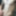 Bilder 