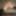 Fleshlight Butt &amp;amp;amp; Premature Cumshot