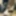 Military Girl Ballbusting You in White Dirty Combat Boots