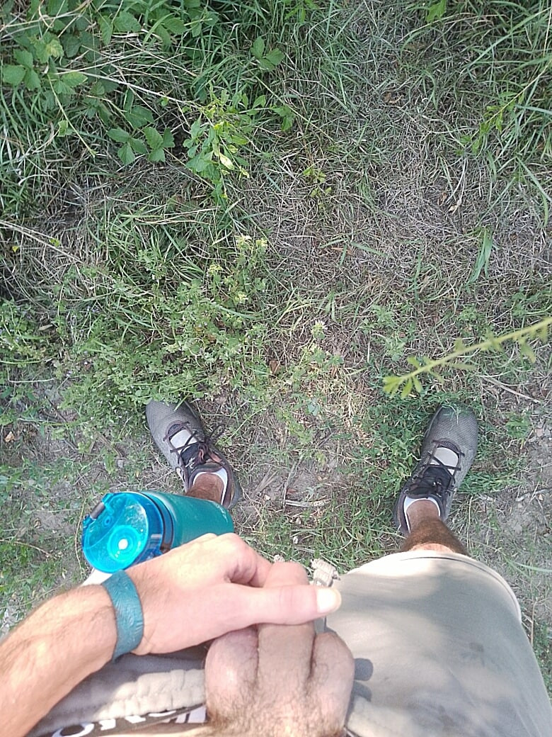 Nature #6