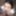 Payton Preslee POV Photoshoot #3