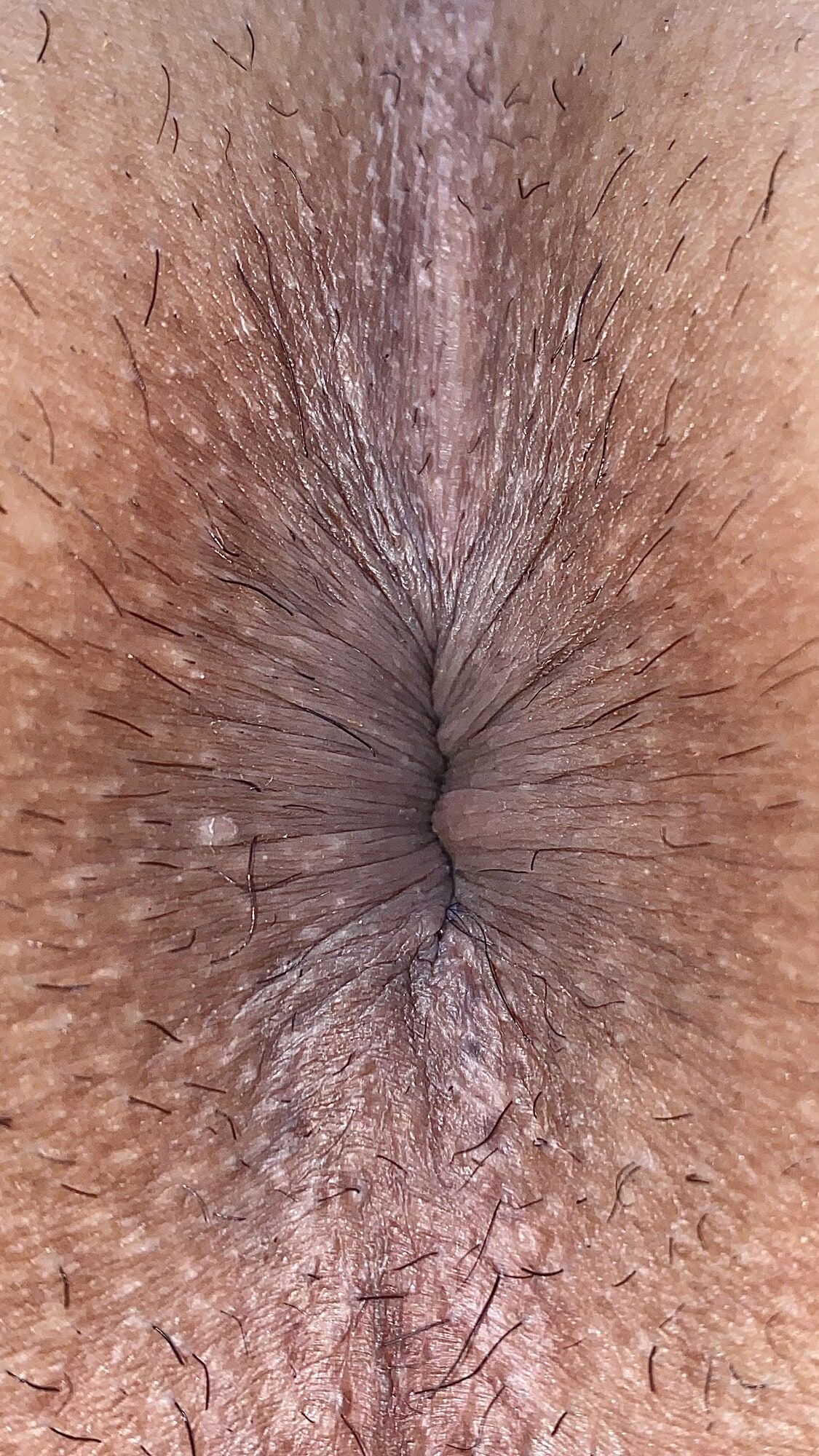 Close-up of a man's anus #27