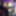 VioletBiTCH💜 Robe Resille Violette Full CAM4 VaneSsaBarBie #39