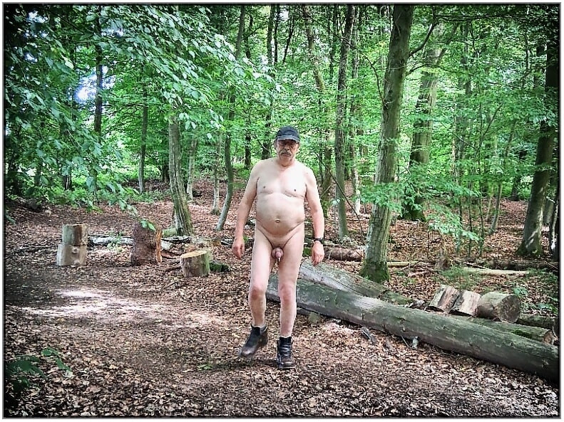 AO-Wolly 2025