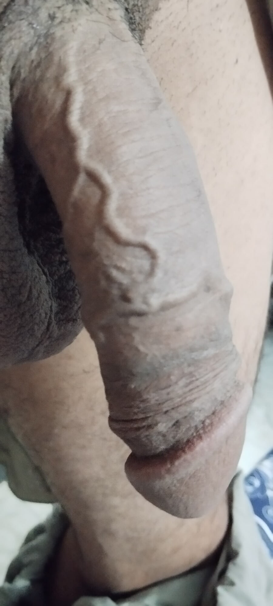 Pakistani  #2