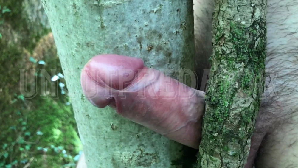 Tree fuck #6