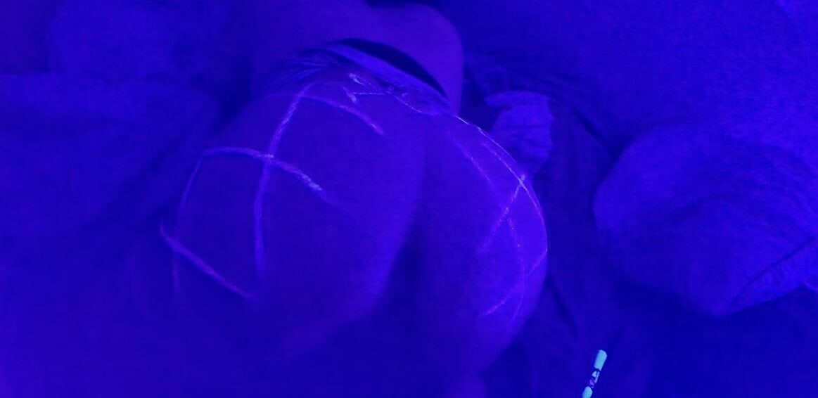 Mon cul et ma chatte apres une bonne baise 