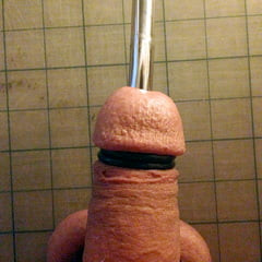 12mm sound going in my cock