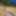 Flroian Johannes Mueller nude at the beach #16