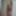 My Dick 2023