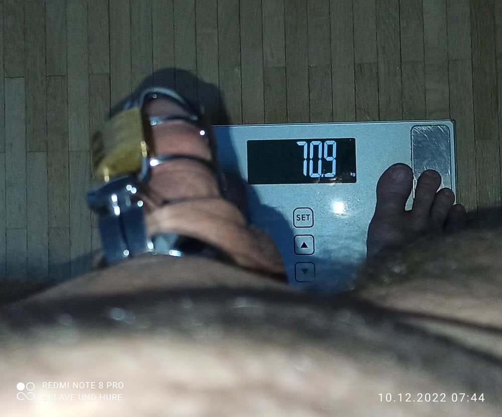 mandatory weighing and cagecheck of 10.12.2022 #8