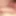Suda 