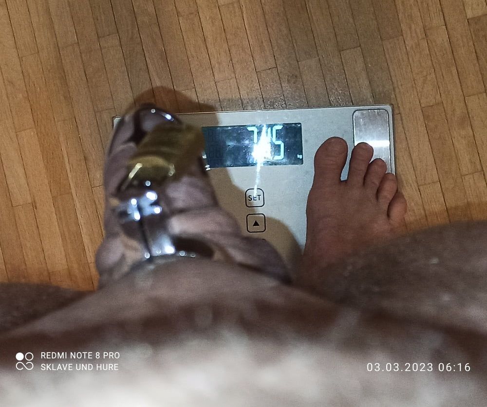 mandatory weighing and cagecheck of 03.03..2023 #8