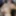 Cumpulation