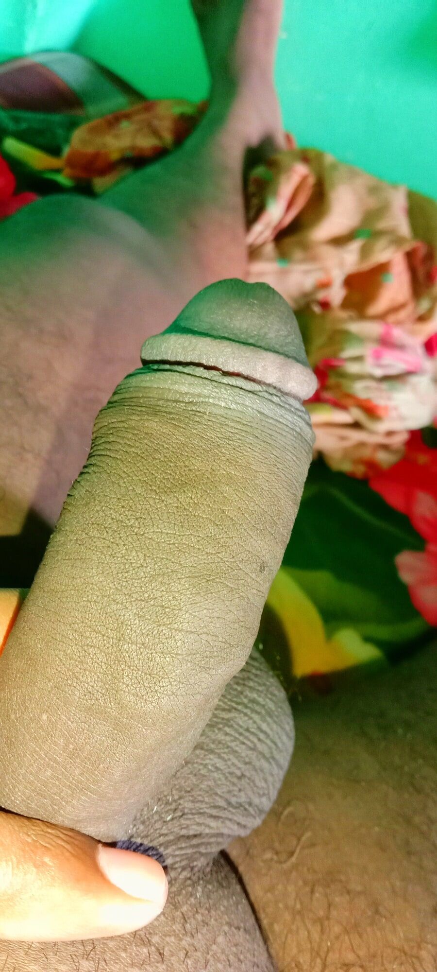 24 year Hot long dick boy