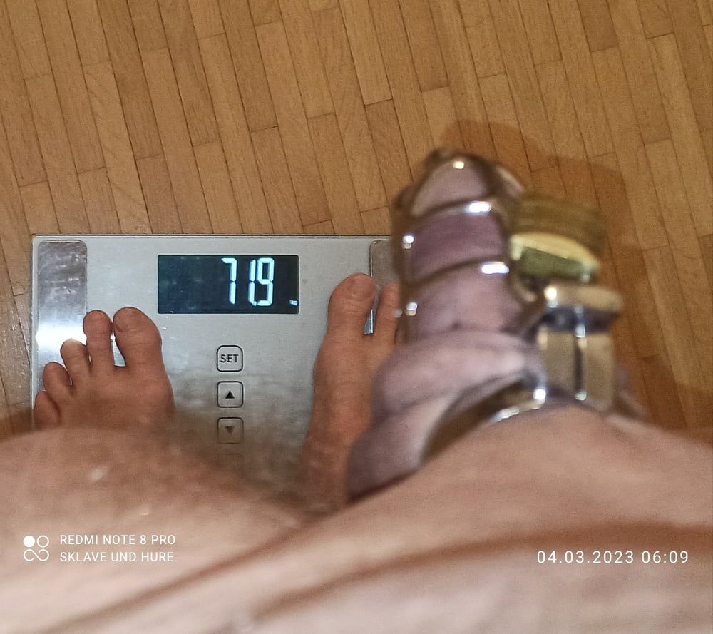 mandatory weighing and cagecheck of 04.03.2023 #5
