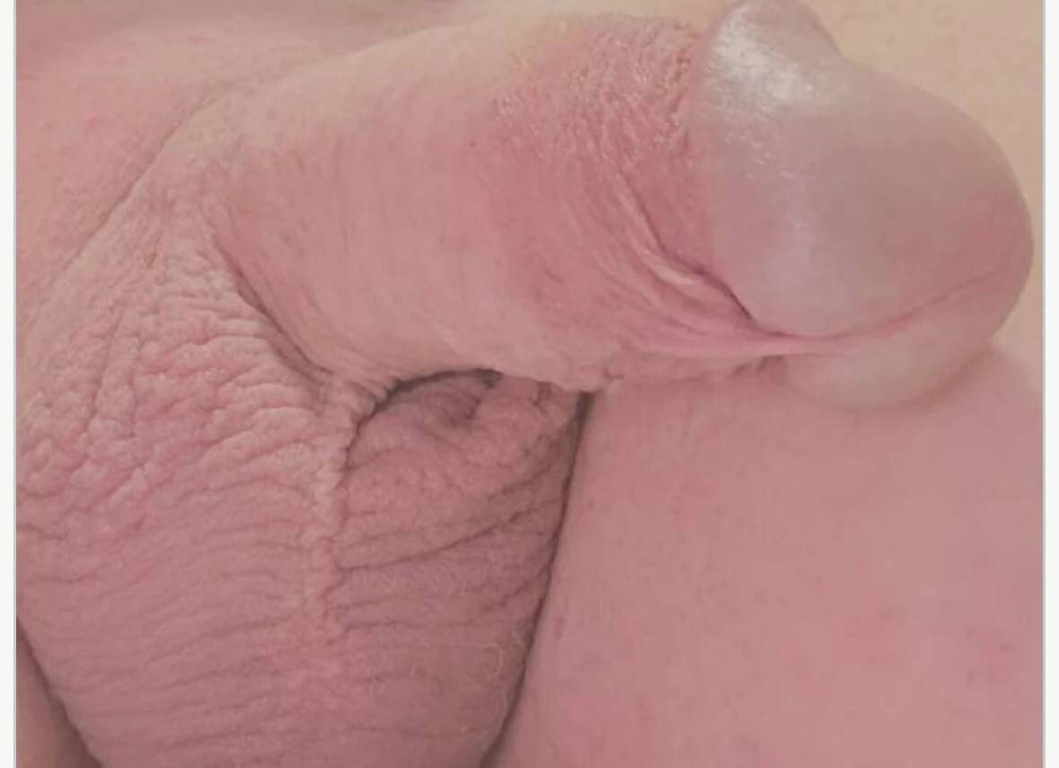 My Cock 