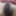Desi gf hair chut