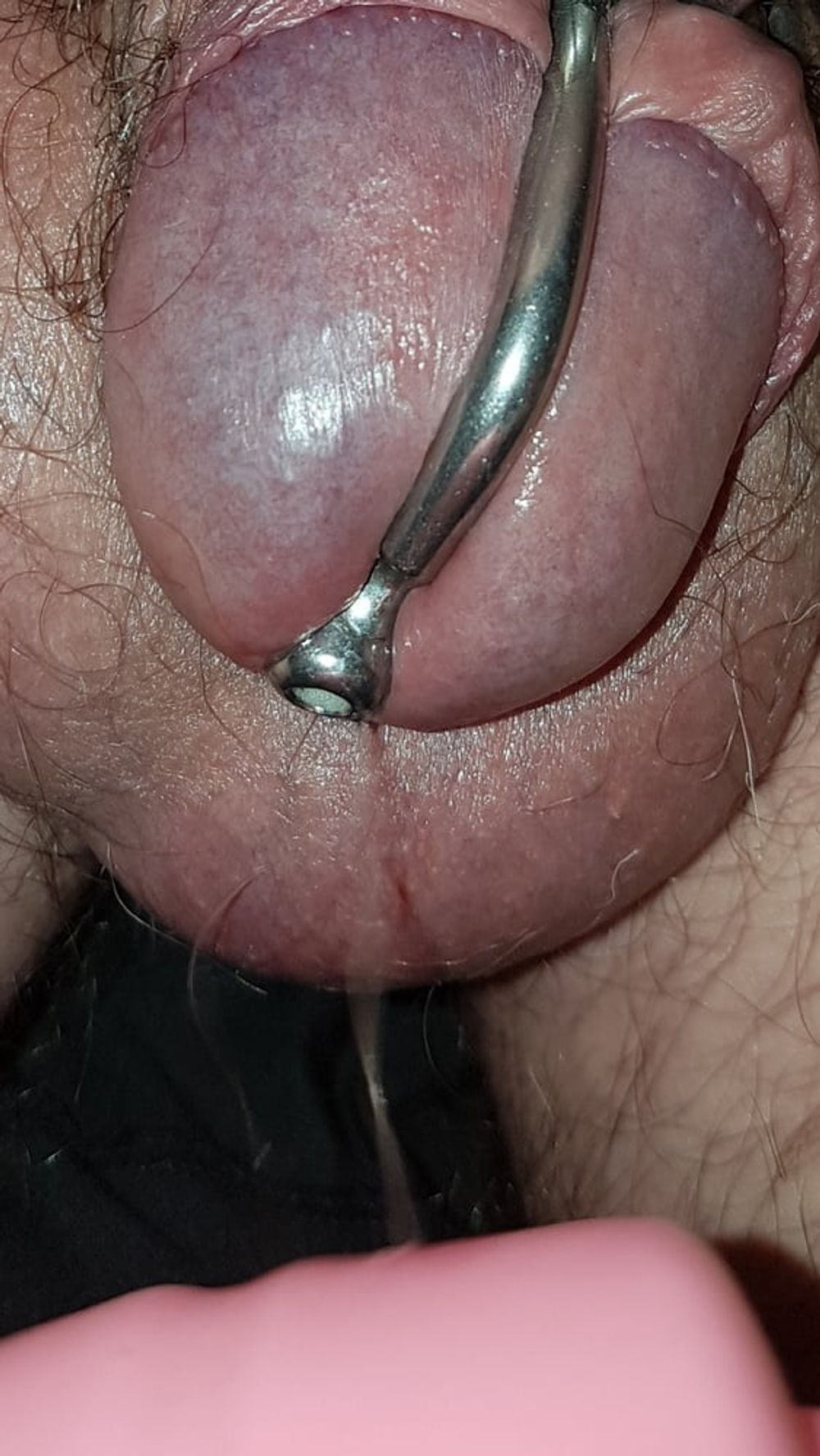 Precum and cum #28