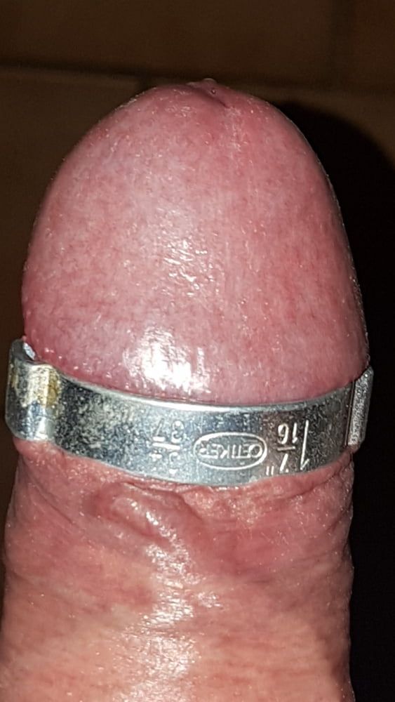 Cock ring #5