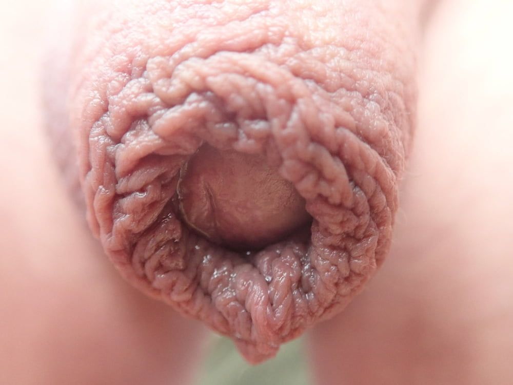 close up penis #15