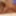 BLOWJOB, EATING PUSSY and 69 by WILDSPAINCOUPLE 
