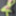 Green Mesh Lingerie #46