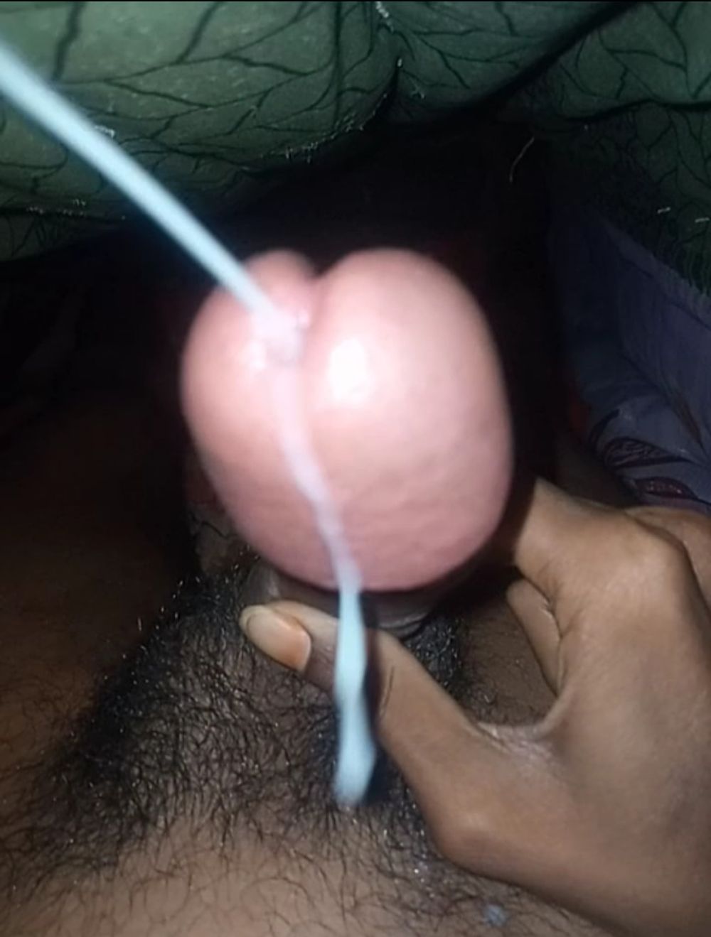 Indian Boy Cock Cum Shot  #6