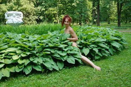 naked in the grass         