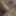 The nature dildo for my shaved pussy #2