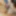 Lina and Indigo share their huge dildo