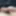 Close Up Cock