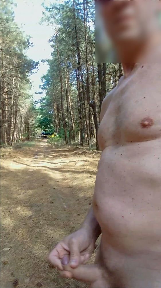 exhibitionist naked jerking cumshot in the woods #3