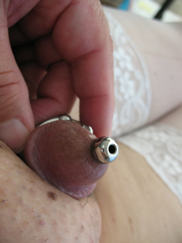More steel in cock with glans rings #52