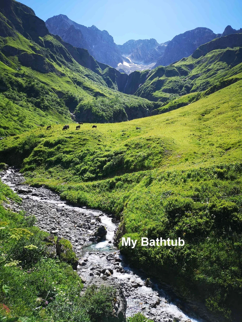 G-Strings and Boner in the Mountains #6