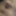 My old gallery 2019-2021 #14