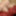DAGFS - Pretty Faced Scarlet Red Gives Striptease Before Fuc #44