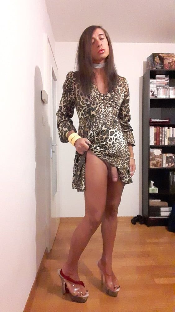 Sissy Tygra in leopard dress on 2019 octobre. #59